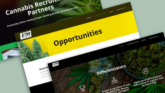 420 Career Connect web design
