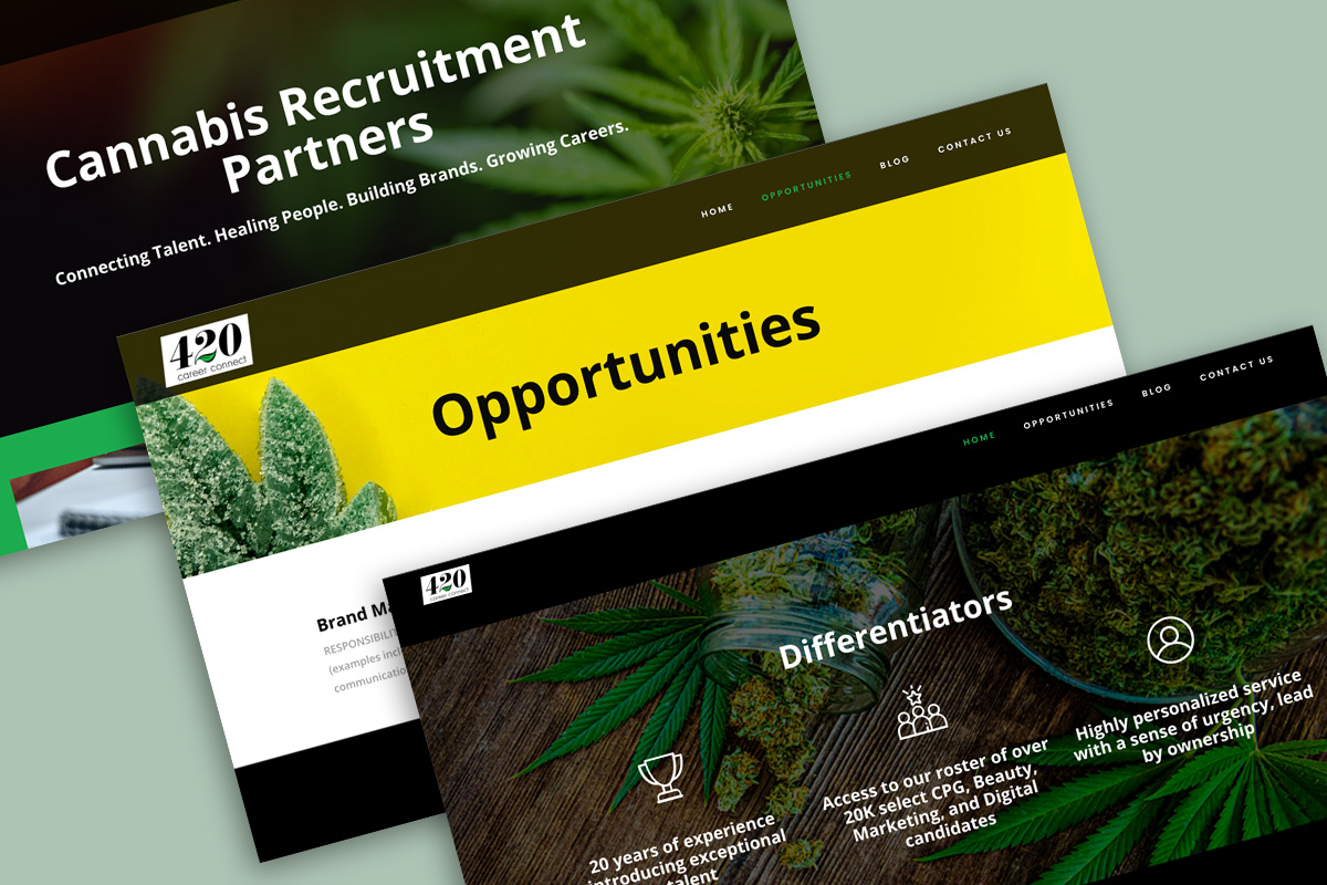 420 Career Connect web design